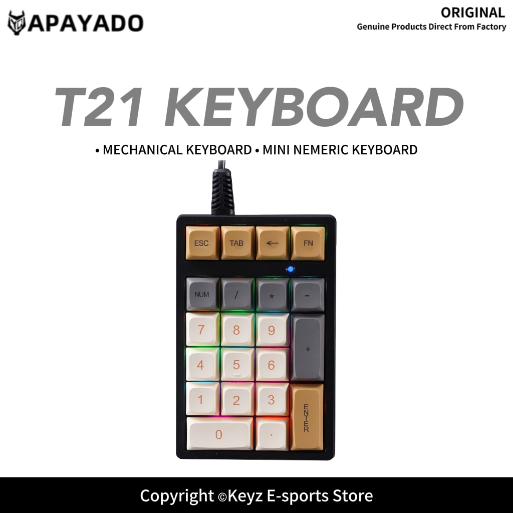 Keyboard Numpad Separate - لوحة مفاتيح رقمية صغيرة T21 مع